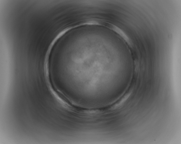 X0000114620939200910201130