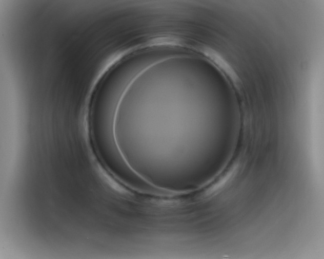 X0000114620941200910201130