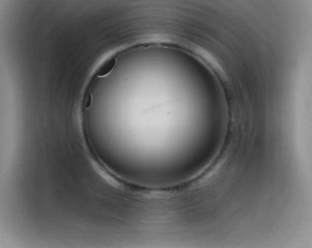 X0000114620942200910201130