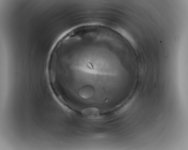 X0000114620943200910201130