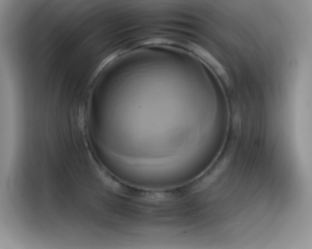 X0000114620945200910201130