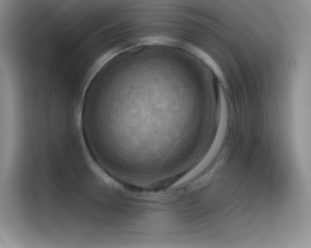 X0000114620946200910201130