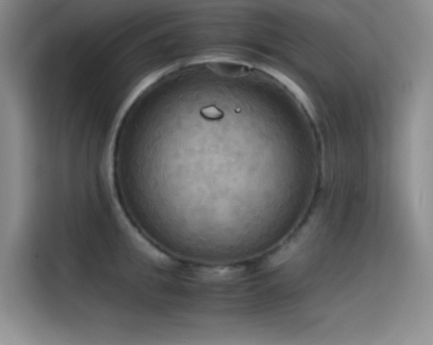 X0000114620949200910201130