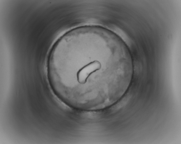 X0000114620950200910201130