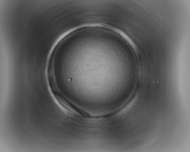 X0000114620951200910201130
