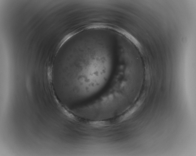 X0000114620953200910201130