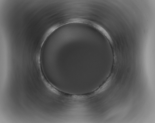 X0000114620954200910201130