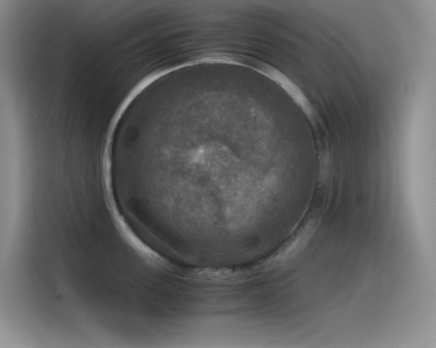 X0000114620955200910201130