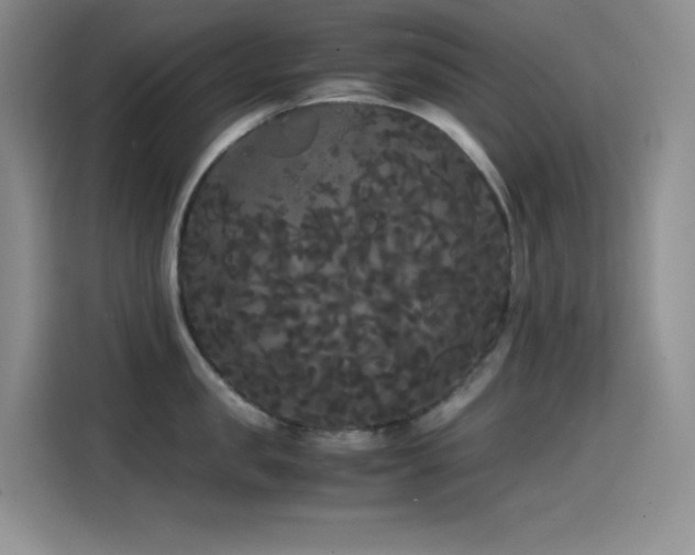 X0000114620957200910201130
