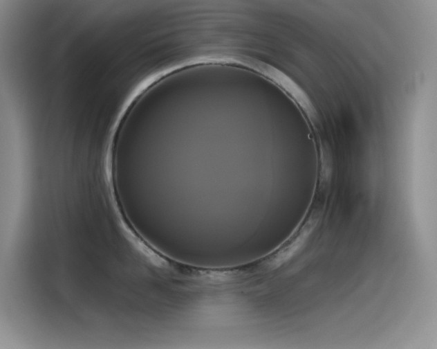 X0000114620958200910201130