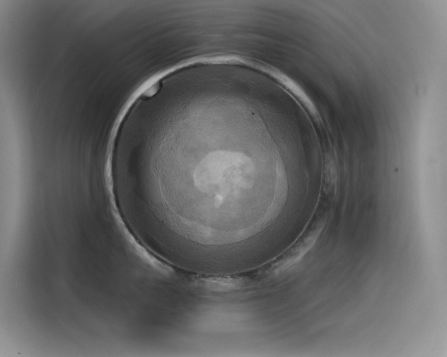 X0000114620959200910201130