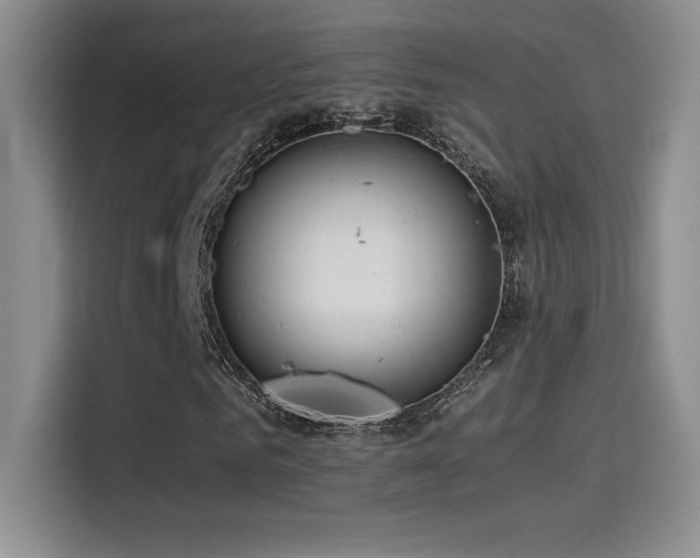 X0000114620961200910201129