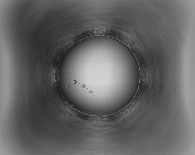 X0000114620962200910201129