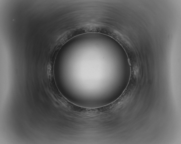 X0000114620964200910201129