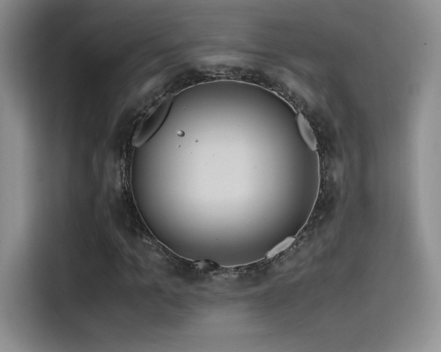 X0000114620965200910201129