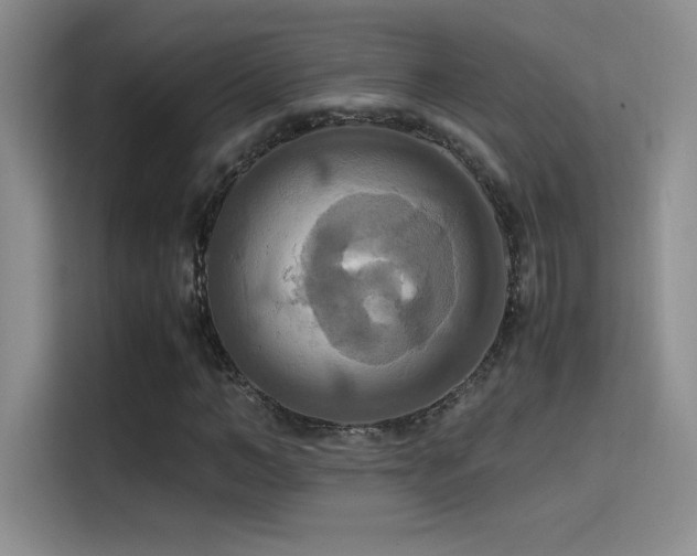 X0000114620966200910201129