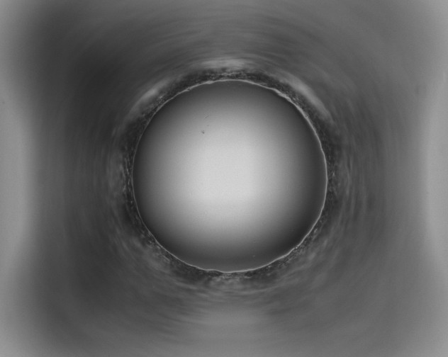 X0000114620967200910201129