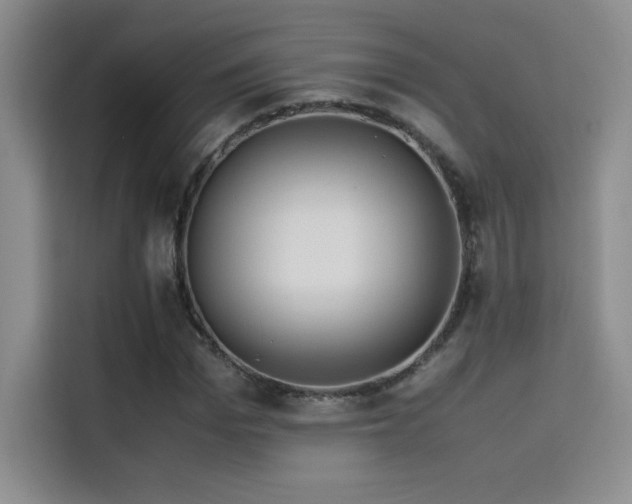 X0000114620969200910201129