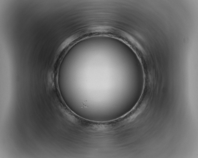 X0000114620970200910201129