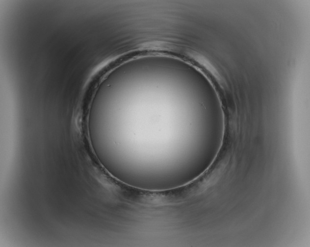 X0000114620971200910201129
