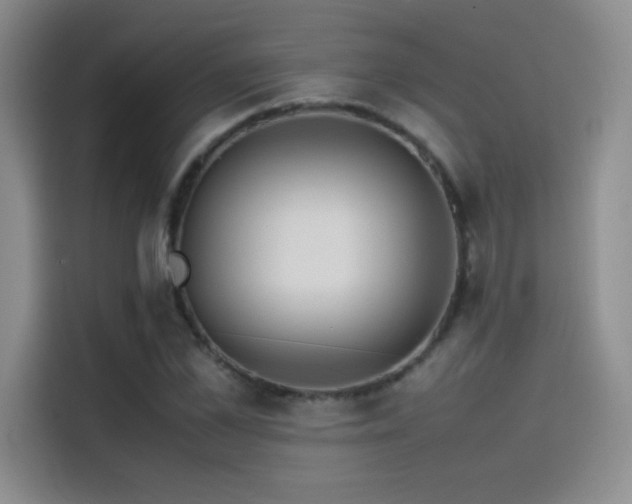 X0000114620973200910201129