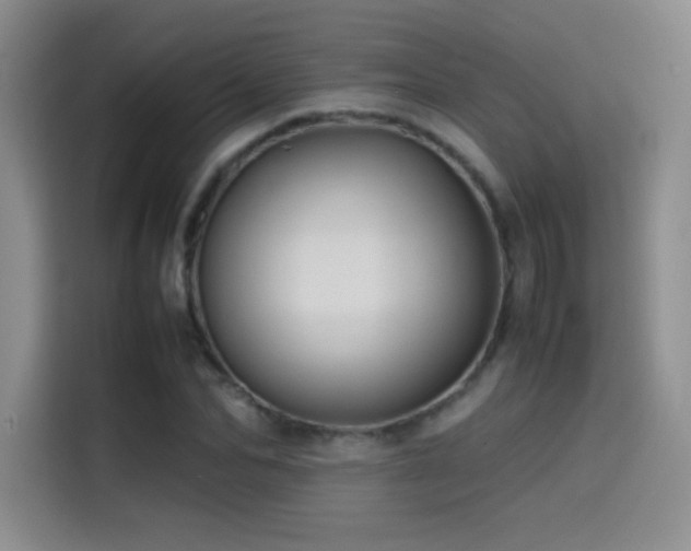 X0000114620974200910201129