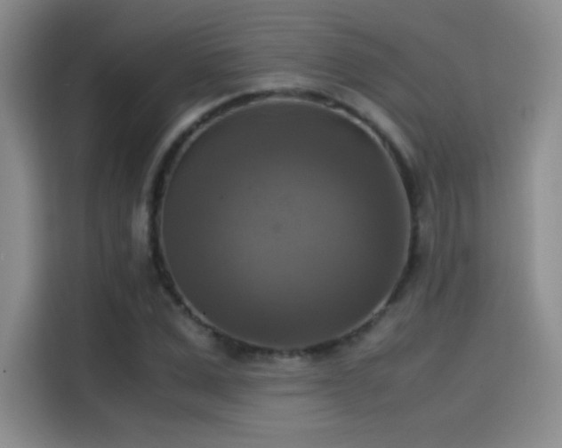 X0000114620975200910201129