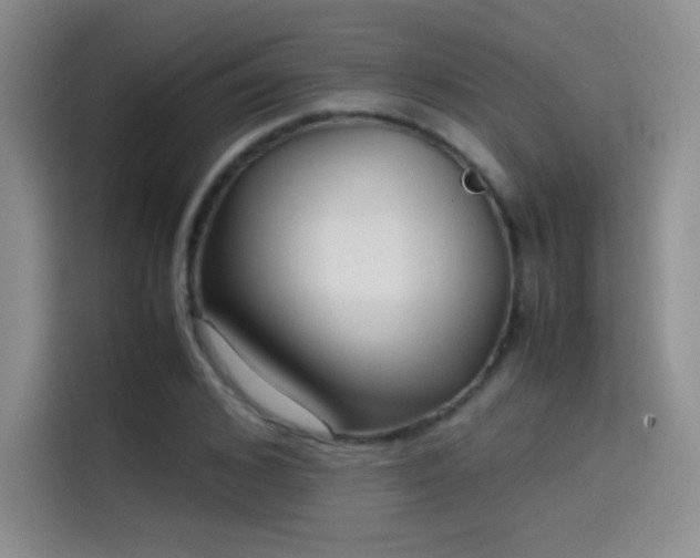 X0000114620976200910201129