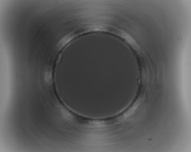 X0000114620977200910201129