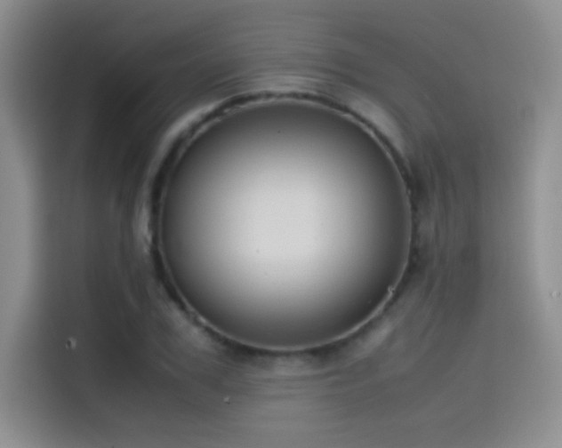 X0000114620979200910201129