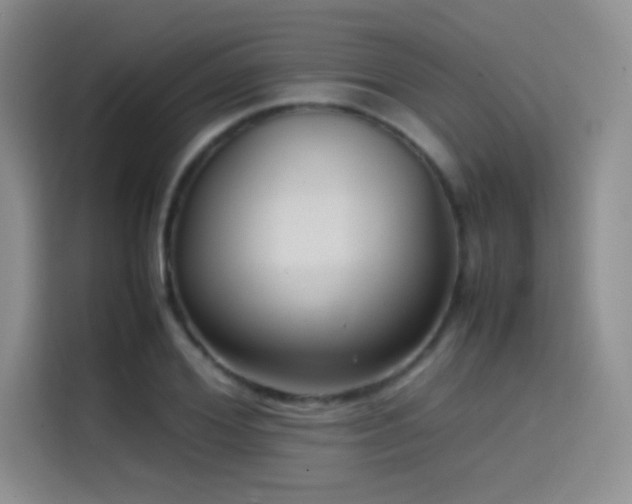 X0000114620980200910201129