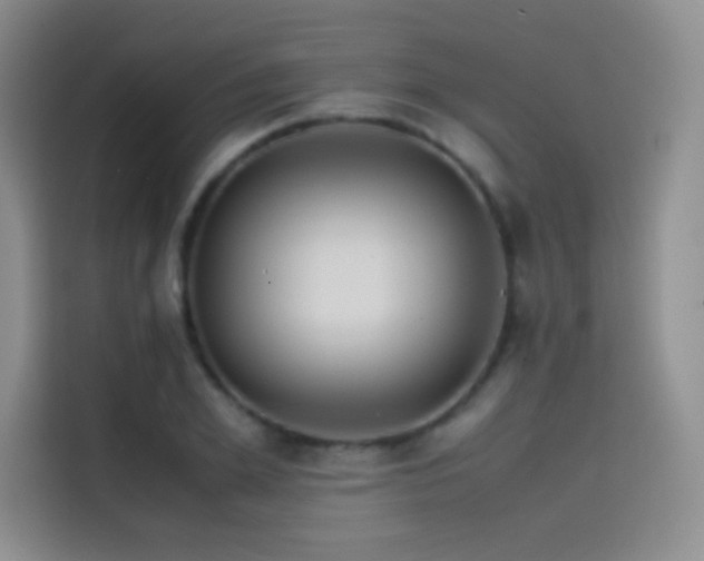 X0000114620981200910201129