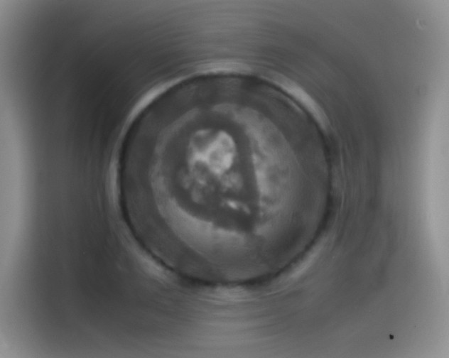 X0000114620983200910201129