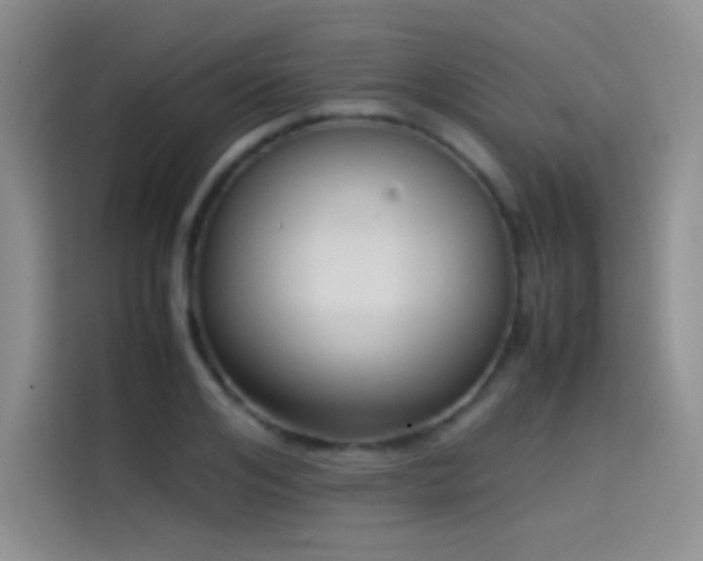 X0000114620984200910201129