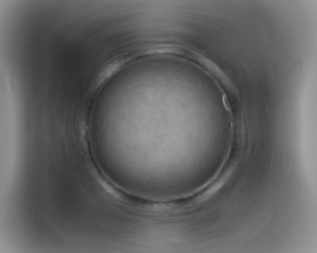 X0000114620985200910201129