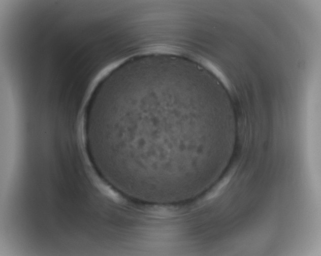 X0000114620987200910201129
