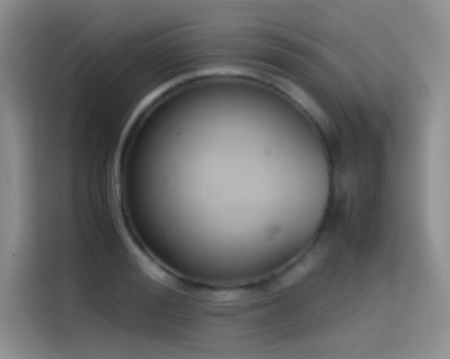 X0000114620988200910201129