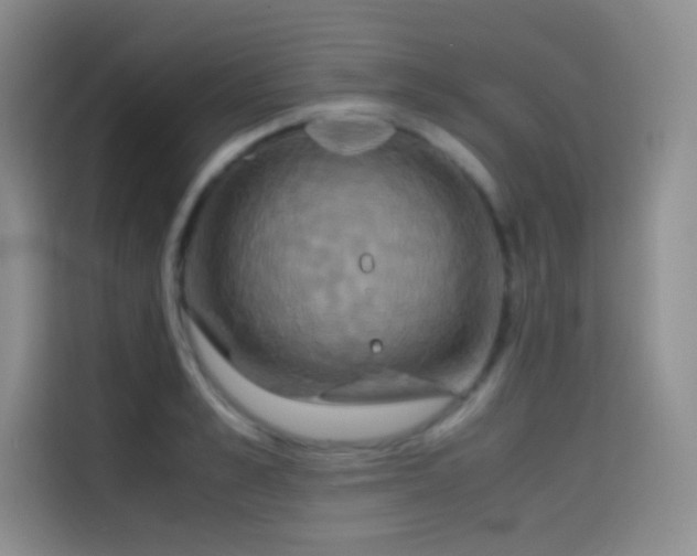 X0000114620989200910201129