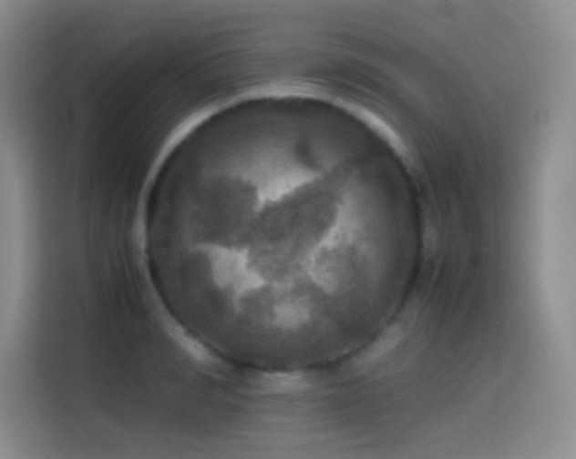 X0000114620990200910201129
