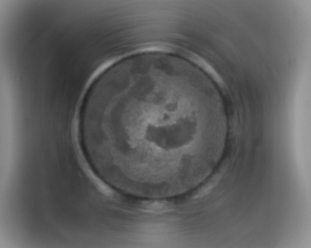 X0000114620991200910201129