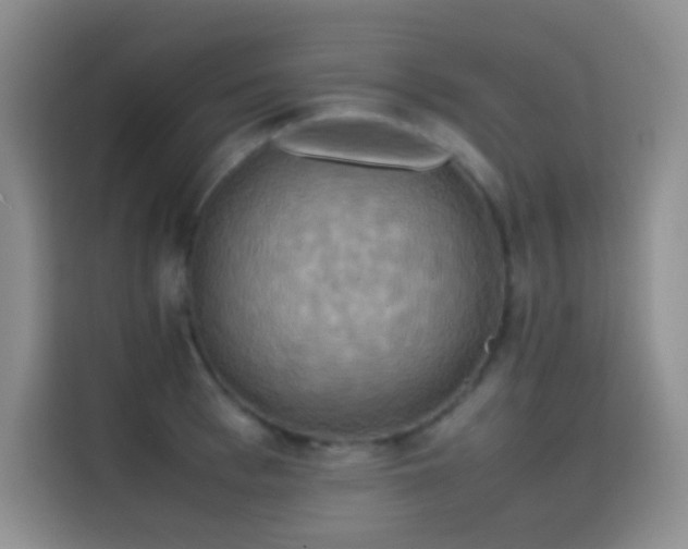 X0000114620993200910201129