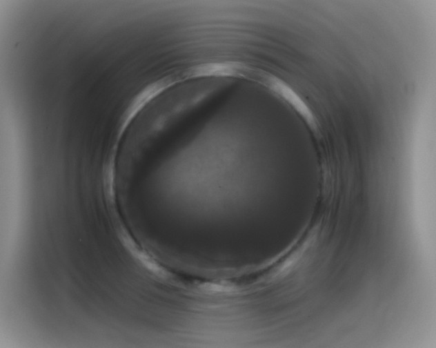 X0000114620994200910201129
