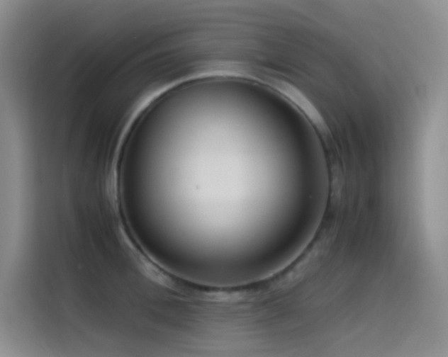 X0000114620996200910201129