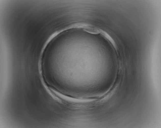 X0000114620997200910201129