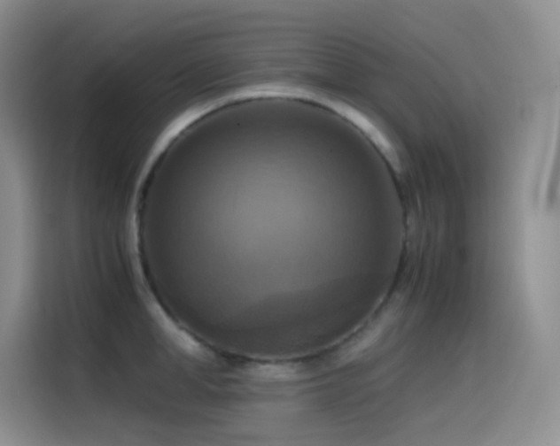 X0000114620998200910201129
