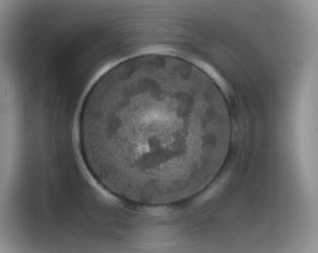 X0000114620999200910201129