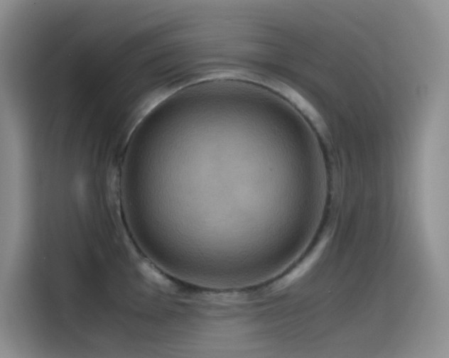 X0000114621001200910201129