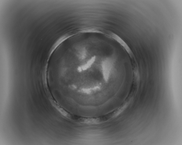 X0000114621002200910201129