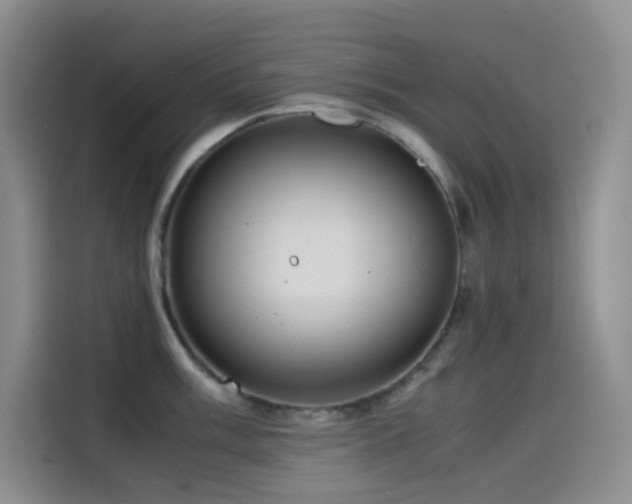 X0000114621003200910201129