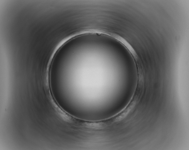 X0000114621004200910201129